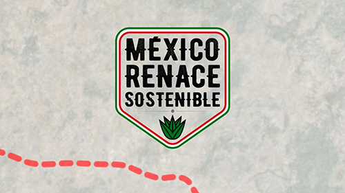 México Renace Sostenible — branding y audiovisual