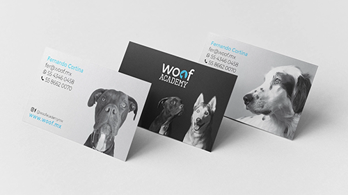Woof Academy — UI y branding